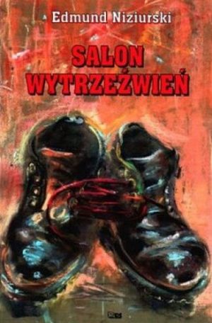 Okładka-Edmund Niziurski-Salon wytrzeźwień